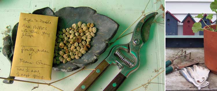 Poppy seeds and garden tools