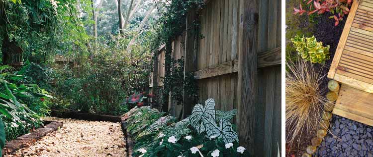 Wooden fencing with gravel pathway and planting