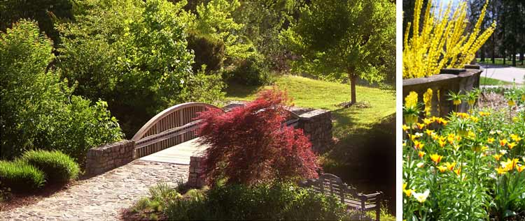Garden planting, a wooden bridge, and hard landscaping