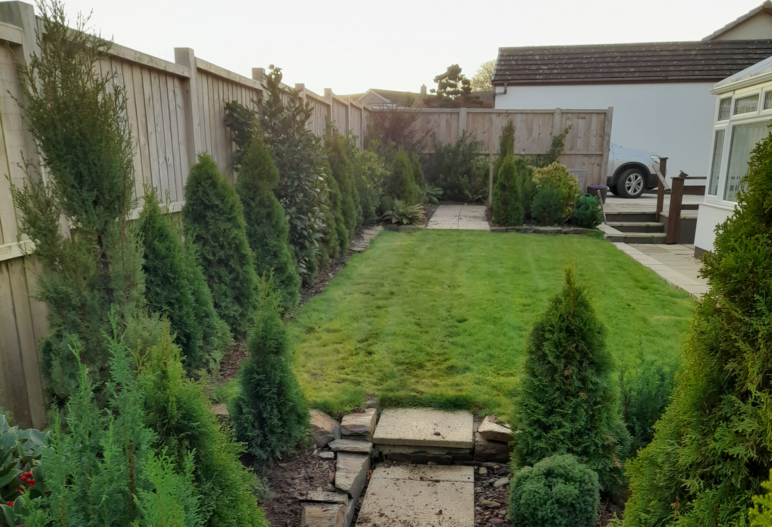 Landscaped garden with tree planting in the border